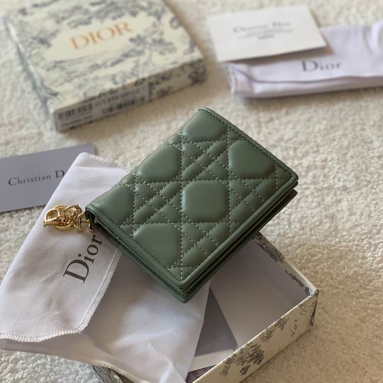 Dior S0178 11x9cm zy