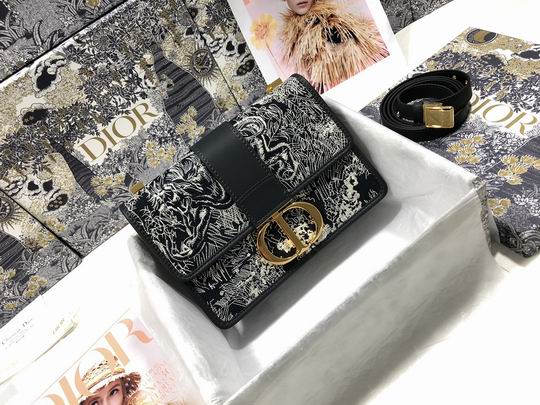 Dior Montaigne M9203 24x17x8cm wz
