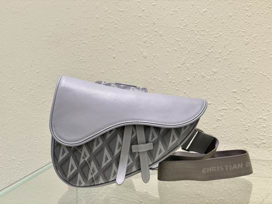 Dior 26x19x4.5cm wo