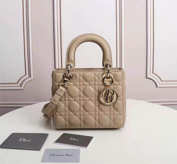 Dior Lady 6644 20X17x9cm wo