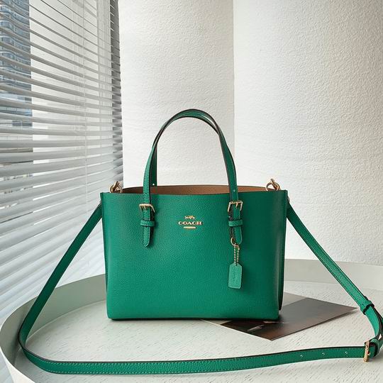 Coach C4250 25x19x110cm zy2