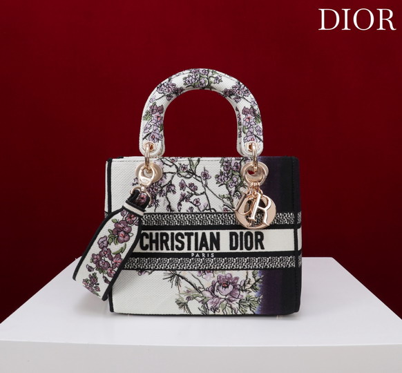 Dior M056594 24x20x11cm yz1