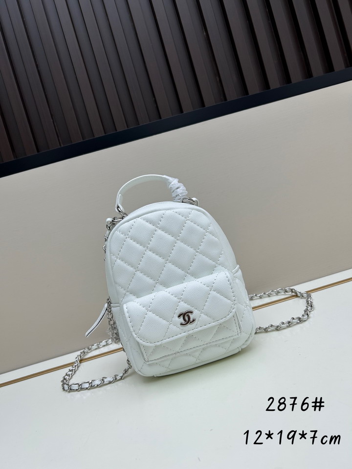 Chanel 2876 12x19x7cm jj4
