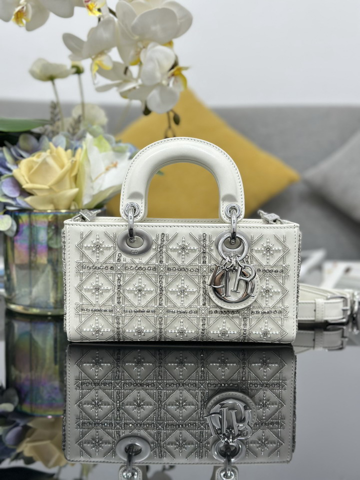 Dior Lady M0613 22x12x6cm yz