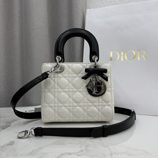 Dior M0538 20x18x8cm yz1