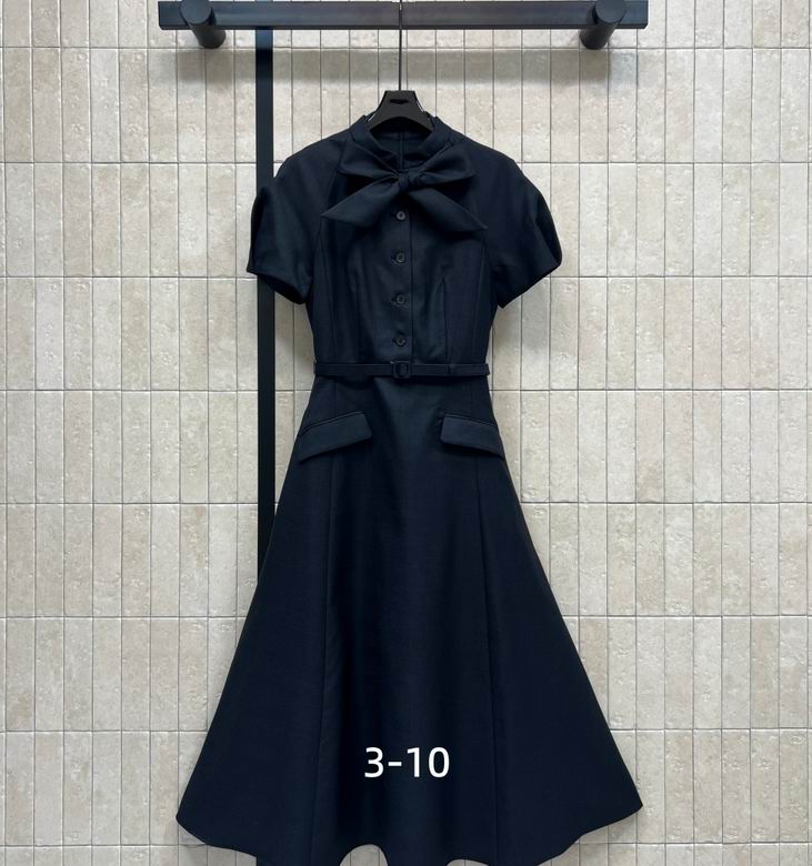 Dior S-XL 301