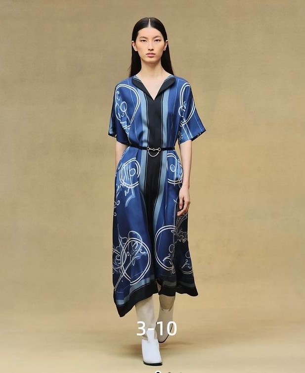 Hermes S-XL 118