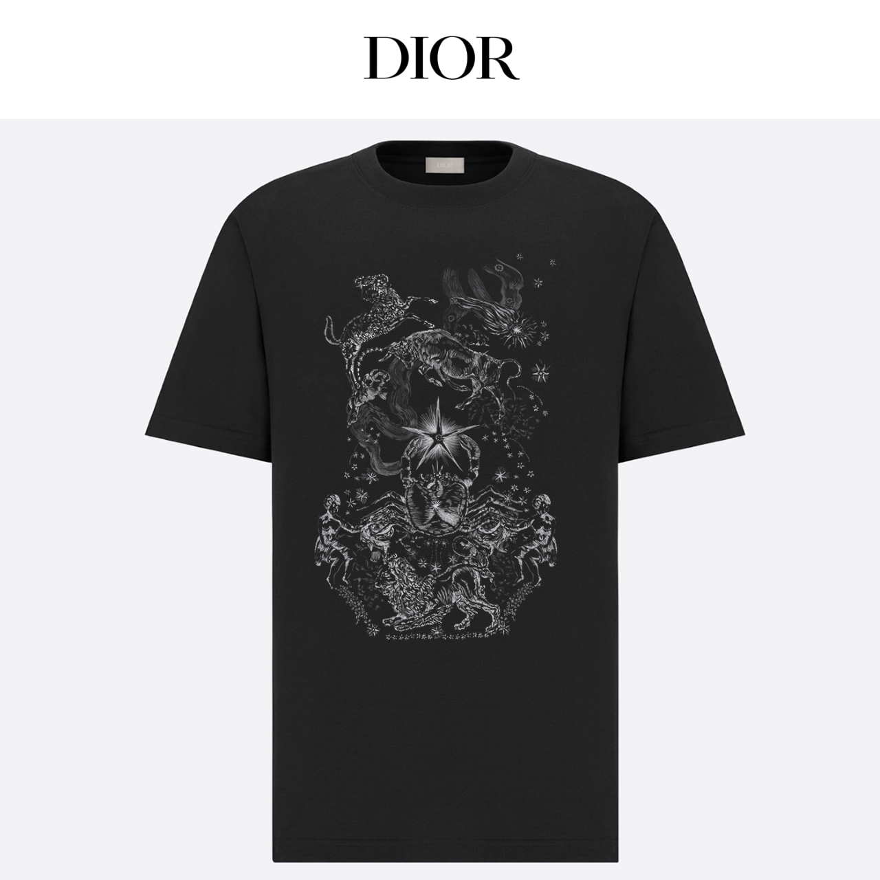 Dior XS-L xetr74