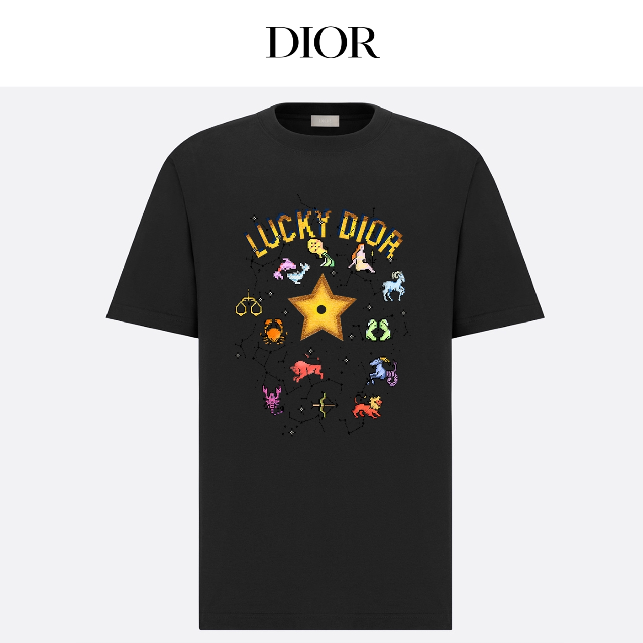 Dior XS-L xetr79