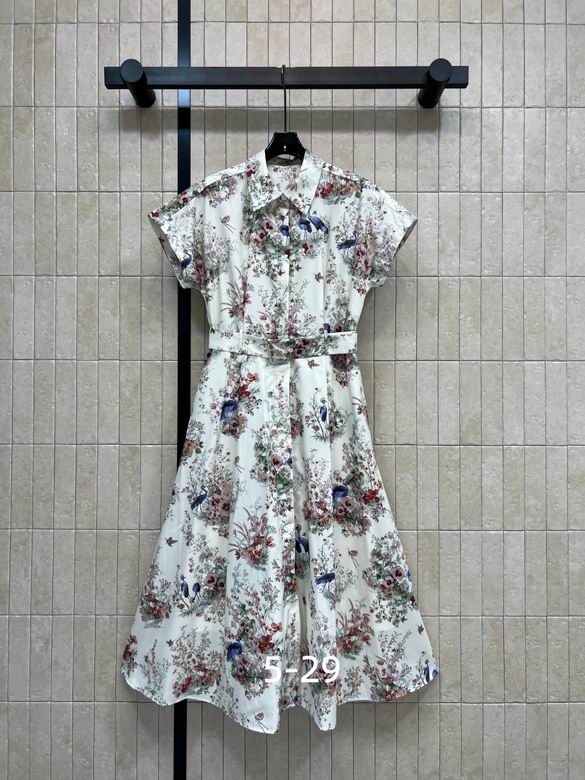 Dior S-XL 233